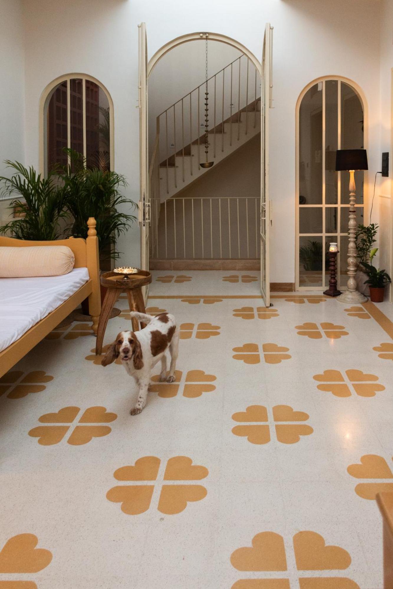 Hotel Rajan House Divisione di Divisione di Jaipur Esterno foto